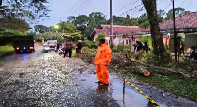Respon Cepat, BPBD Muba Tuntaskan Pohon Tumbang yang Ganggu Akses Jalan Praja&nbsp;Permai