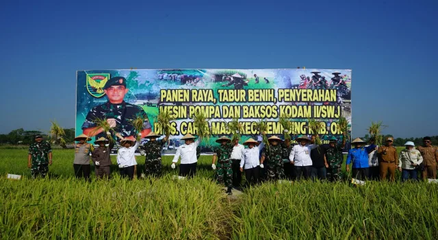 Sukseskan Swasembada Pangan, Pangdam II/Sriwijaya Panen Raya Padi di Desa Cahaya&nbsp;Maju